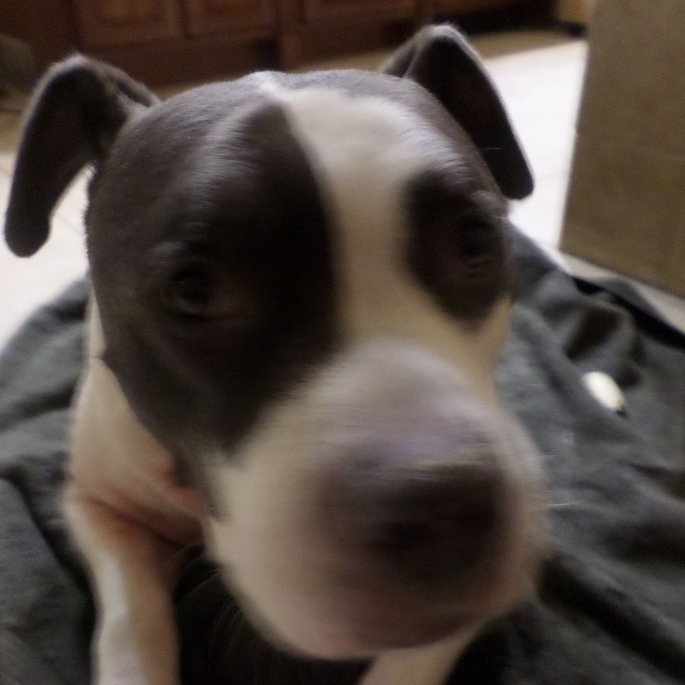 Meet your Posher, Sara